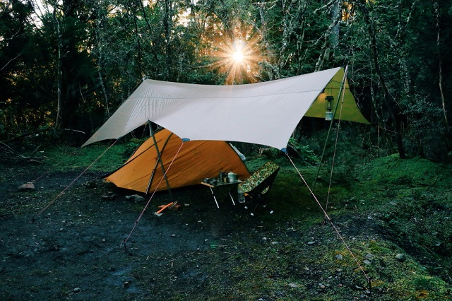 Cắm trại ở trong rừng quốc gia Hoàng Liên Sơn